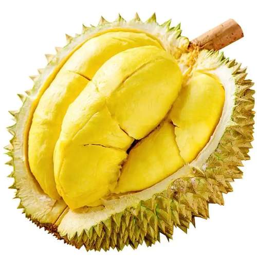 泰国金枕榴莲