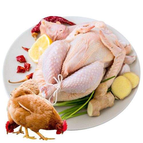 三黄鸡500g